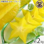 期間限定 沖縄産 スターフルーツ 約2kg 沖縄 南国フルーツ
