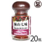 海山七味 瓶入り 20g×20瓶 海のもの山のもの 沖縄 土産 沖縄土産 送料無料