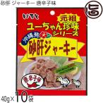 ユーちゃん珍味シリーズ 砂肝ジャーキー 唐辛子味 40g×10袋 はると 沖縄