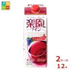 清洲桜醸造 楽園ワイン 赤 500ml紙パック×2ケース（全12本）送料無料 爆買