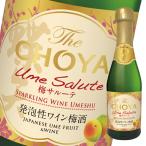 チョーヤ 梅酒 The CHOYA 梅サルーテ 200ml 瓶×1ケース（全12本） 送料無料 爆買