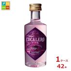 コカレロ ヴィーダ50ml�