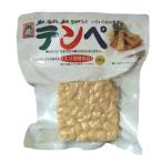 【送料無料】ヤマク　テンペ100gスパウトパック×1ケース（全10本）