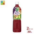 ショッピング野菜生活 カゴメ 野菜生活100 2種のぶどうミックス720ml×2ケース（全30本） 送料無料