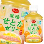 【送料無料】えひめ飲料　POM愛媛せとかゼリー295g×2ケース（全48本）