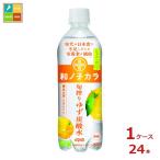 ダイドー 和ノチカラ 旬搾りゆず 炭酸水500ml×1ケース（全24本）送料無料