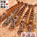  машина море .1kg(40~50 хвост )[ sashimi * небо ...] высококлассный пищевые ингредиенты *.. машина ..[ рефрижератор рейс ]