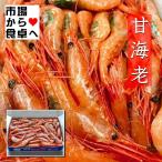 甘えび 有頭 刺身用 2箱(1箱1kg) 【業務用・鮮度維持ブロック凍結】(1箱約90〜100尾)甘くてプリプリ食感 【冷凍便】