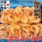 . Boyle ..2 коробка (1 коробка 2kg ввод ) M размер (1 коробка примерно 100 хвост ввод )[nichi Ray бренд ] [ сломан ...].,. море . сырье . предубеждение, великолепный влюбленный взгляд . осуществление делает [ рефрижератор рейс ]