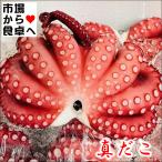  подлинный . подлинный ..( наклон Boyle завершено )3kg(1 кубок примерно 400g)[ sashimi *karu patch .* салат * одэн ] различный кулинария . можете использовать [ рефрижератор рейс ]