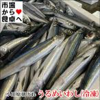 うるめいわし(小)冷凍ラウンド 2kg【