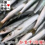  серп кама . маленький ( рефрижератор ) 1kg[ Sagami . Odawara производство ].. длина . внезапный скорость рефрижератор, небо ..* fly *. есть, соль . и т.п. [ рефрижератор рейс ]