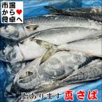 真さば ラウンド 冷凍 業務用 10kg(約