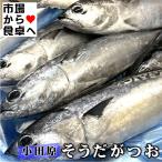  похоже . и .( рефрижератор )10kg[ Sagami . Odawara производство ].. длина . внезапный скорость рефрижератор,. есть, соль . и т.п. [ рефрижератор рейс ]
