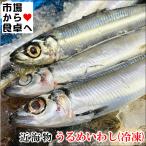 うるめいわし冷凍 ラウンド 5kg【未