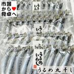 うるめいわし丸干し 4袋(1袋10尾連刺