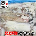 ya...( маленький ) 2kg[ мягкость . кальмар ]. установка * жарение предмет *ahi-jo.[ рефрижератор рейс ]