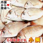  маленький морской лещ chi большой ( рефрижератор )1kg[ Sagami . Odawara производство ].. длина . внезапный скорость рефрижератор,..., уксус. предмет, круг высушенный .[ рефрижератор рейс ]