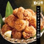 ショッピング大分 大分中津 ぶんごや監修 レンジでチンするから揚げ / とれたて 美味いもの市