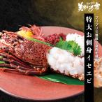  очень большой . sashimi лангуст /.. длина прекрасный тест . было использовано город 