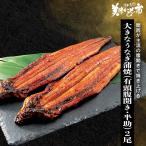  большой .....( иметь голова . открытие * половина .)2 хвост /.. длина прекрасный тест . было использовано город 