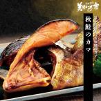  осень лосось. kama/.. длина прекрасный тест . было использовано город 