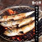 特大サイズ　丸干しトロいわしとれ