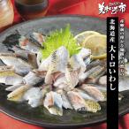 北海道産 大トロいわし / とれたて 