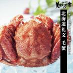  Hokkaido . документ шерсть ./.. длина прекрасный тест . было использовано город 