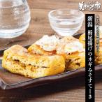  Niigata . хвост ... лук-батун miso ..-./.. длина прекрасный тест . было использовано город 