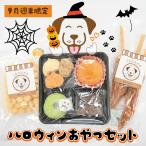  собака Halloween закуска . распределение . выходные Halloween закуска комплект 