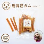 犬 おやつ 馬 無添加 うまかみかみ　馬背筋 ガム ショート100g 3つまでメール便可