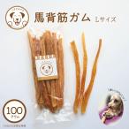 うまかみかみ 馬背筋 ガム ロング  100g 3つまでメール便可