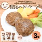 犬 おやつ トッピング ご飯 馬肉 ハンバーグ100g入り3個セット うまかみかみ (26.6.30) 202304niku
