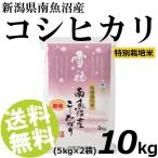 ショッピング米10kg 令和7年産新米 お米 10kg 白米 コシヒカリ 雪穂 南魚沼産 精白米 特別栽培米 5kg×2袋 送料無料 贈答品 お取り寄せ