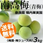 南高梅 生梅 青梅 3kg 梅酒つくり 梅ジュース作り 梅干し 堀内果実園 奈良県 国産 送料無料 おうち時間 お取り寄せ
