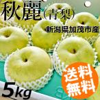 * предварительный заказ товар 8/20 примерно из доставка * груша 5kg 12~15 шар осень красота ..... Niigata префектура .. город .... фруктовое дерево . бесплатная доставка .. товар ваш заказ 