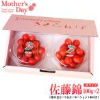 さくらんぼ佐藤錦100g×2P(M玉)ダイヤパック専用箱入 (カーネーション(生花又は造花1本)+カード付)母の日ギフト 送料無料 山形県東根産加温ハウス栽培