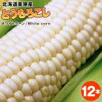  кукуруза белый кукуруза 1 2 шт [ бесплатная доставка ] Hokkaido прекрасный . производство специальный культивирование сельское хозяйство производство предмет фрукты кукуруза ....