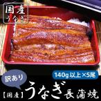 ショッピングうなぎ うなぎ 鰻 国産 うなぎ長蒲焼140ｇ以上×5尾　訳あり 鹿児島県【送料無料】  ご贈答に お中元