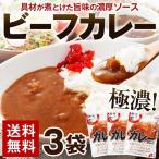 ビーフカレー 190g×4パック 中辛 スパイス 送料無料 1000円 ぽっきり セール レトルト 食品 カレー ご飯 牛肉 ポッキリ ポイント消化 メール便 アウトレット