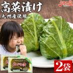 高菜漬け 250g×2袋 九州産 送料無料 