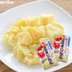 ドライフルーツ 国産 信州産 りんご 大袋 80ｇ ２袋セット 南信州菓子工房 ※メール便のため配達日時指定不可。