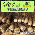  Kanagawa префектура производство takenoko5kg 2026 годовой объем предварительный заказ распродажа 