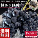 ぶどう ブドウ 葡萄 巨峰 長野県 東御こもだ果樹園 種あり巨峰 約400g×3房 約1.2kg 送料無料