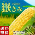 青森県産　『嶽きみ』 M〜2Lサイズ 無選別　約3kg（8〜13本） ※冷蔵 送料無料