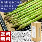 アスパラ アスパラガス 福島県喜多方市産 江川さんのアスパラガス S-Lサイズ 約1kg 冷蔵 産地直送 送料無料
