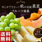 梨 メロン 葡萄 秋の高級果物3種福袋（シャインマスカット、大玉梨、らいでん赤肉メロン）合計 約3.1kg 送料無料