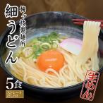 うどん 生麺 （細うどん）ストレートだし付き 5食セット