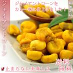 ジャイアントコーン 1kg（500g×2個入り）カレー味 とうもろこし 豆菓子 お菓子 おつまみ おやつ その他ナッツ類